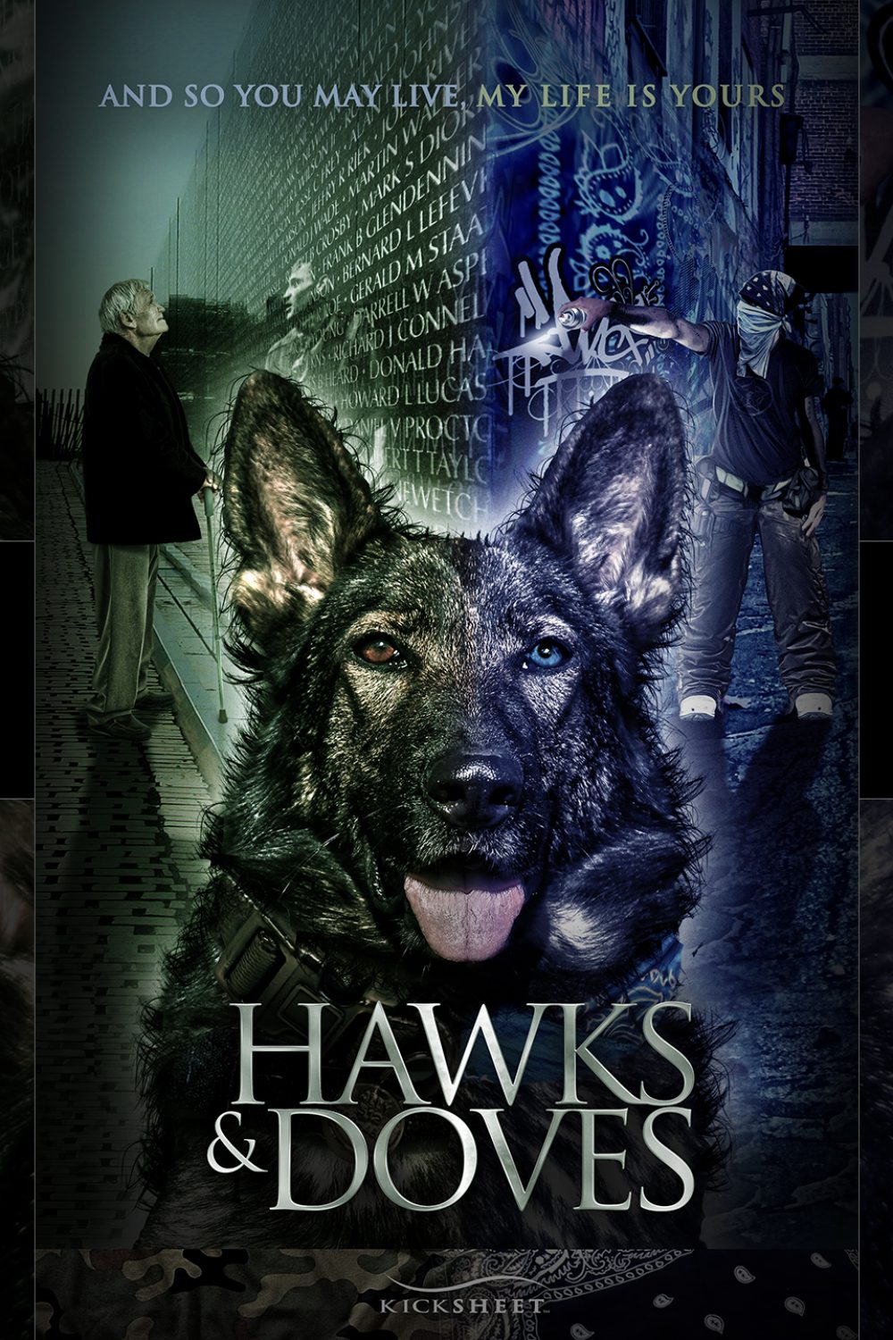 HAWKS-AND-DOVES
